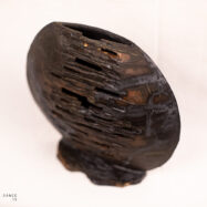 ashes and dust 1 (3 of 22)