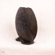 ashes and dust 1 (6 of 22)