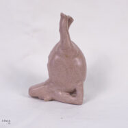 hippo (2 of 14)