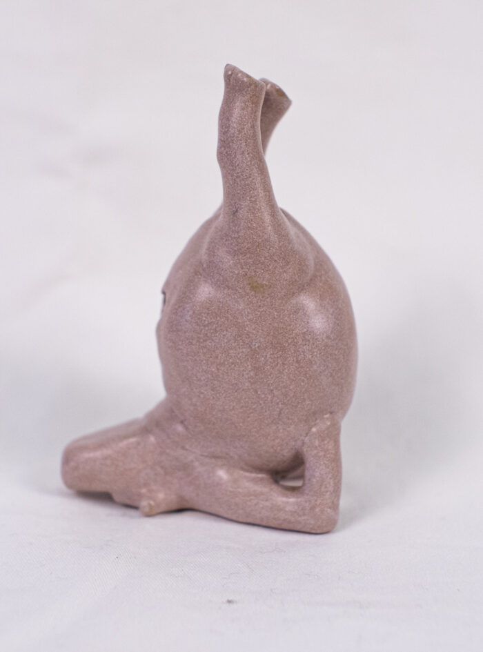 hippo (2 of 14)