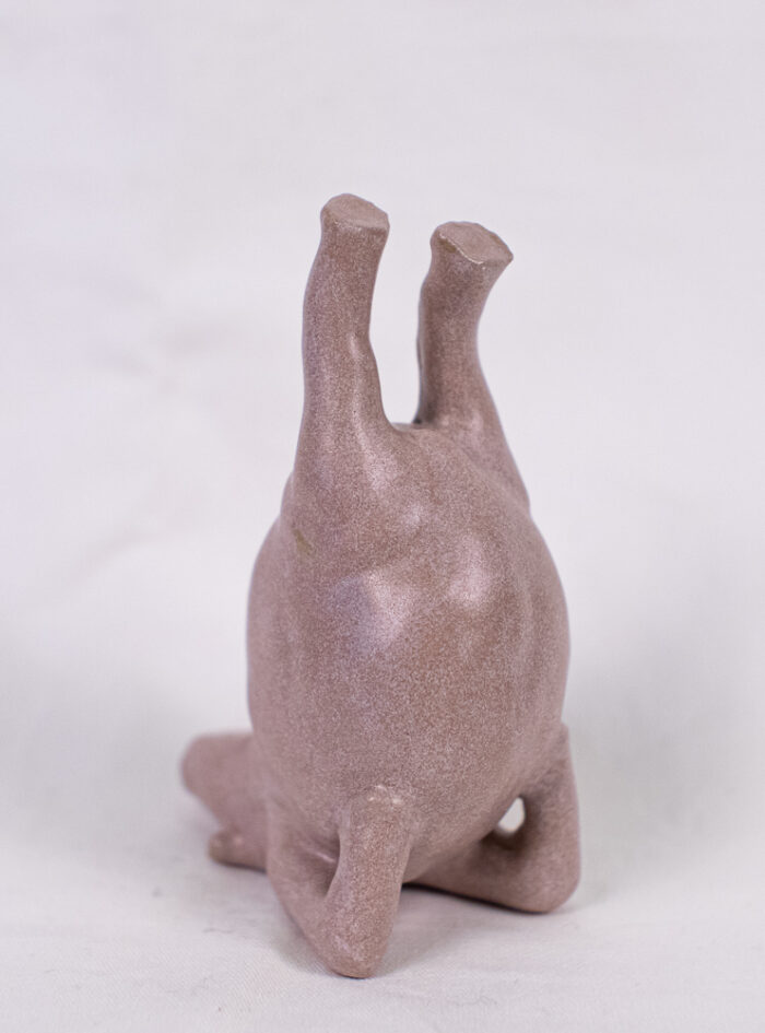 hippo (3 of 14)