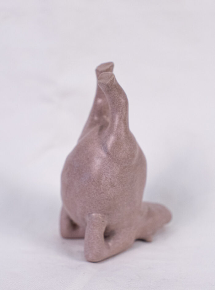 hippo (4 of 14)