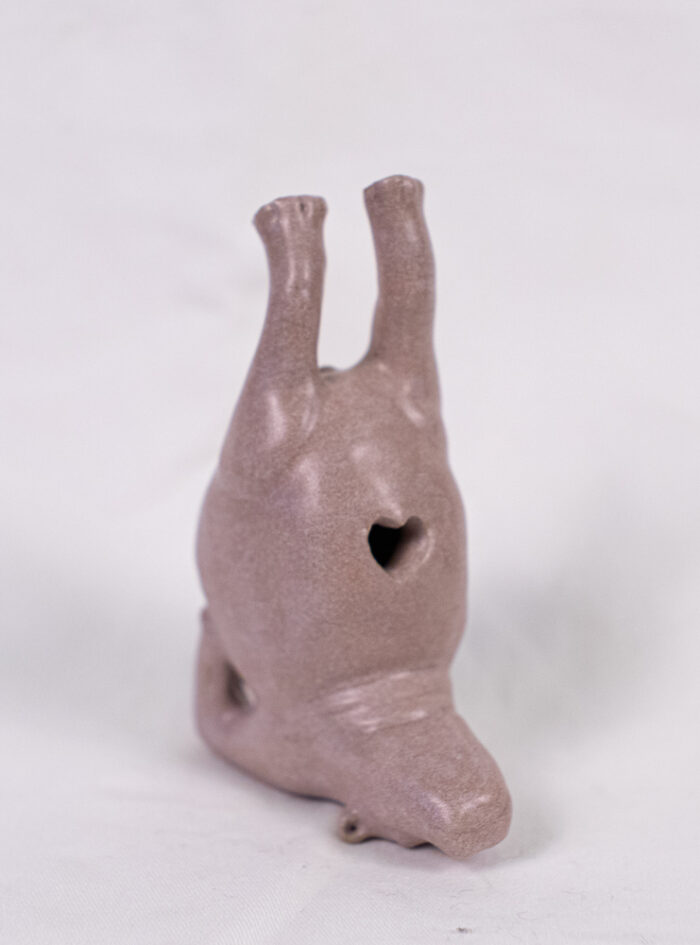 hippo (5 of 14)