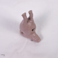 hippo (6 of 14)