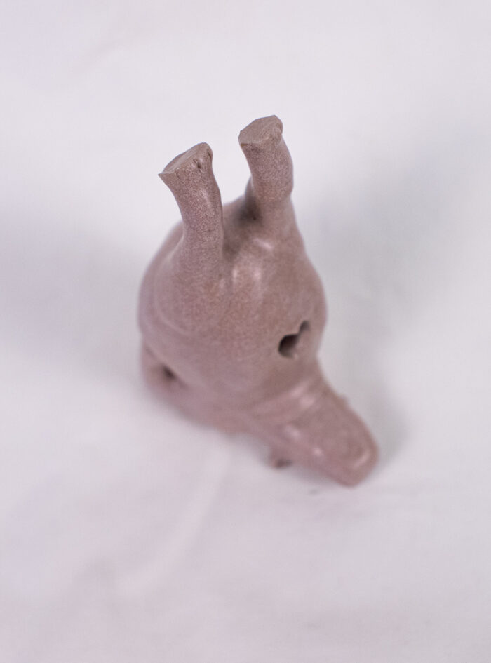 hippo (6 of 14)