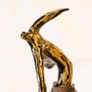 dancers_new_collection (26 of 132)