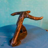 black dancer1 (9 of 9)